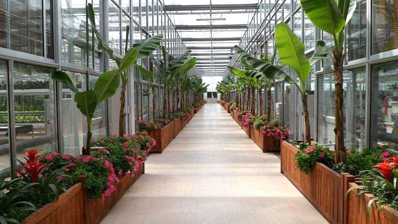 生態溫室餐廳